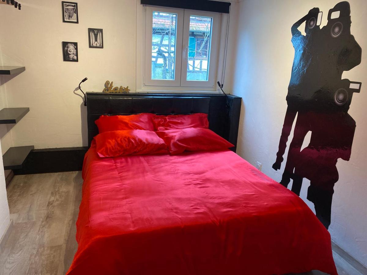 Le Cinema Apartment Soultz-sous-Forets Luaran gambar